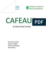 Referat Cafea Dinu Ionut Daniel IMPPPA Anul II