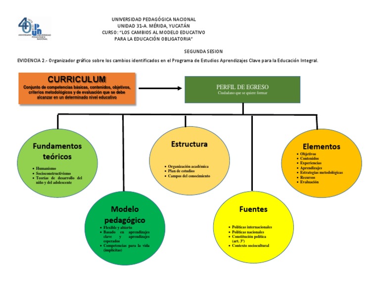 Mapa Conceptual del Diseño Curricular | PDF | Plan de estudios ...