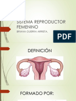 Sistema Reproductor Femenino