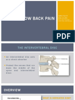 Low Back Pain Guide: Herniated Disc Symptoms and Treatment