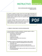 INSTRUCTIVO EMPRESA PAUTA AUTOEVALUACION PLANESI.pdf