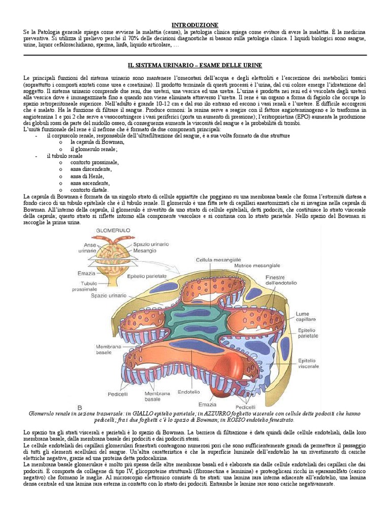 Aneurisma Cerebrale: Conoscere i Rischi e i Sintomi, image size:768x1024