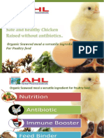 Organic Seaweed Poultry Feed Brochure PDF