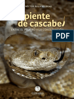 Serpiente de Cascabel, Entre El Peligro y La Conservación