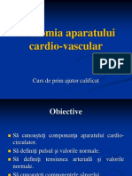 Anatomia Aparatului Cardio-Vascular