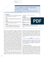 Development of a Scalable Mental Healthcare Plan for a Rural District in Ethiopia