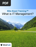 Bite-Sized Training™: What Is IT Management?