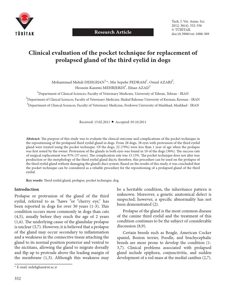 Clinical Evaluation of The Pocket Technique For Replacement of