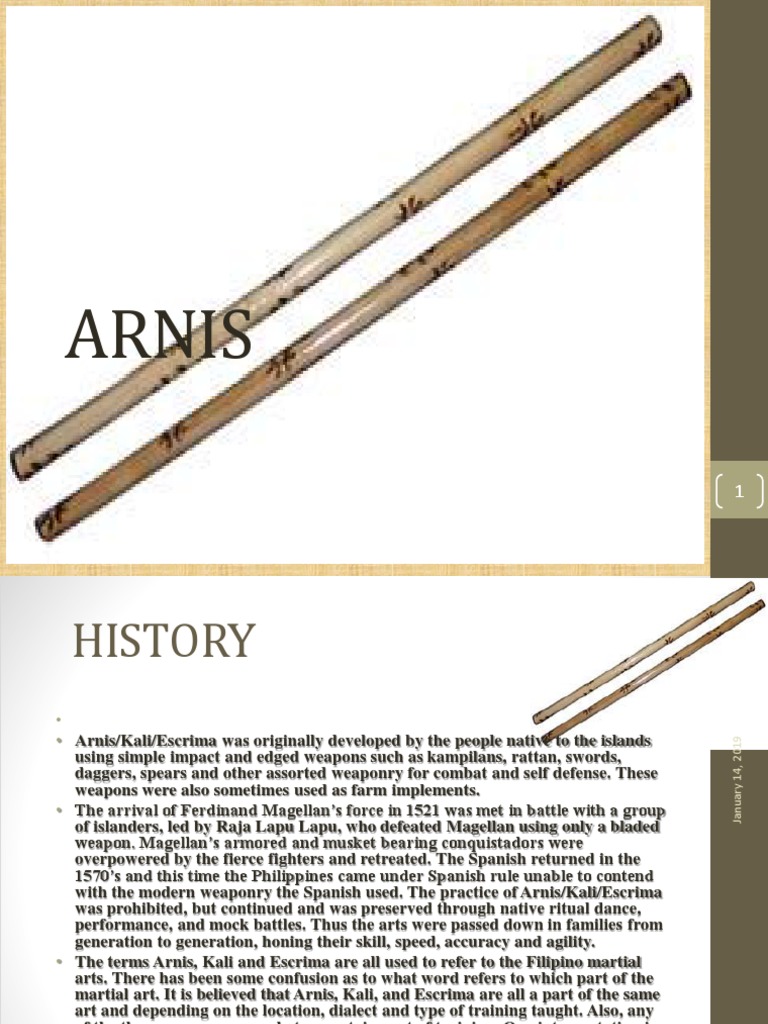 ARNIS | PDF
