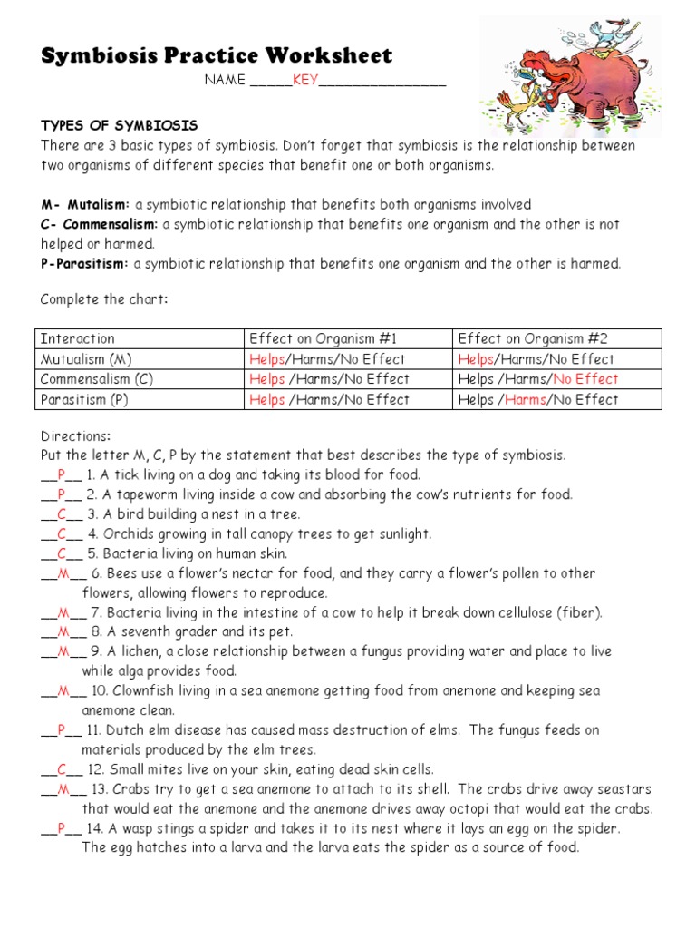Symbiosis Practice Worksheet 2 Key