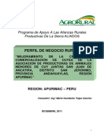 Perfil de negocio rural.pdf