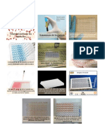 Diagrama_InhibicióndeHemaglutinación