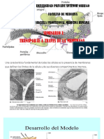 Seminario Biologia