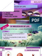1.molecules of Life PDF