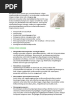 Download APA ITU KOLAGEN by noorul_yusoff SN39717608 doc pdf