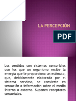 Percepcion