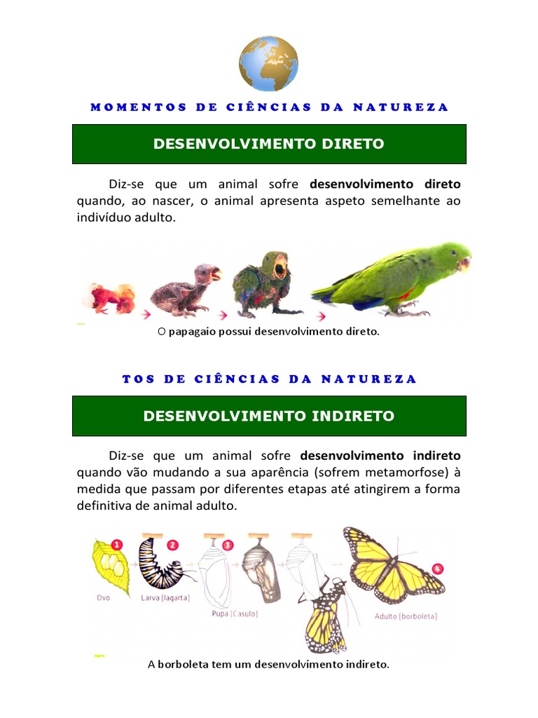 Diferença entre Desenvolvimento Direto e Indireto | PDF