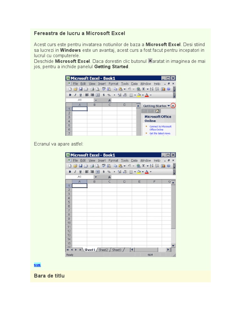 Fereastra de Lucru A Microsoft Excel - Invatare Rapida Cu Imagini | PDF