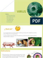 Virus(Microbiología)