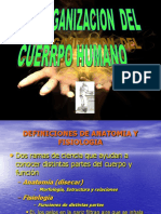 1. Organización Del Cuerpo Humano