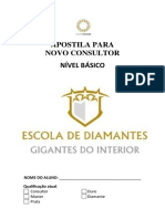 APOSTILA ESCOLA DE DIAMANTES pronta.pdf