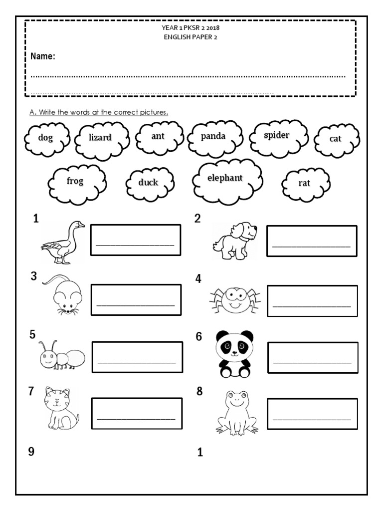 Year 1 English Paper 2 Exercise | PDF
