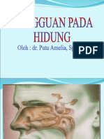 Gangguan Hidung