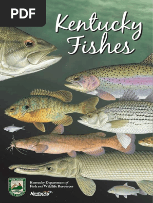 Fish Charts