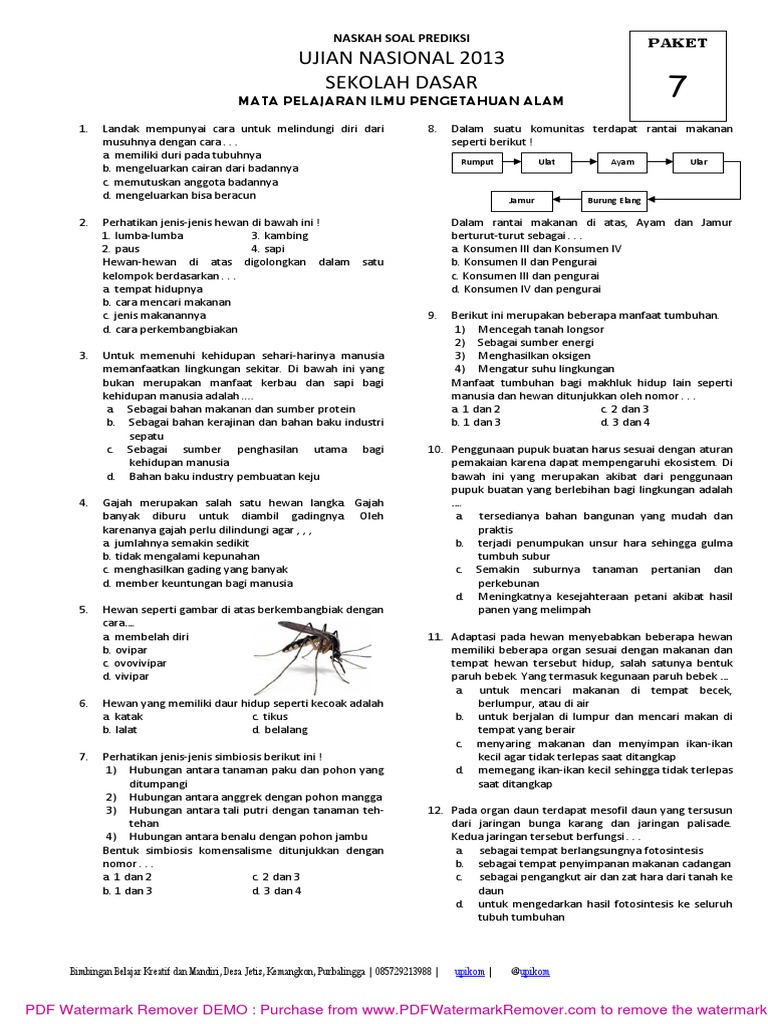 Prediksi Un Ipa Sekolah Dasar