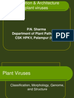 P.N. Sharma Department of Plant Pathology, CSK HPKV, Palampur (H.P.)