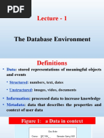 Lecture - 1: The Database Environment