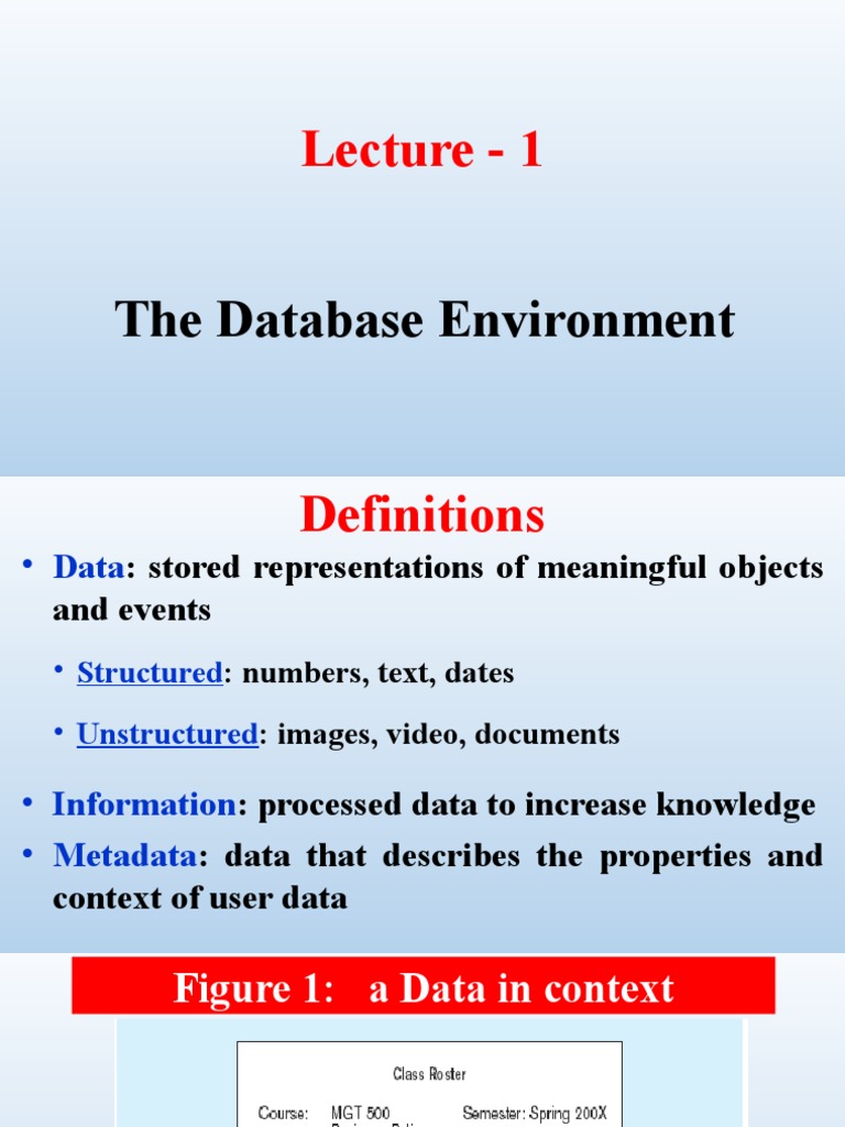 Overview of Database Environment | PDF | Client–Server Model | Databases