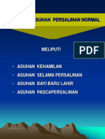 218060_APN (Konseling Asuhan Persalinan Normal).ppt