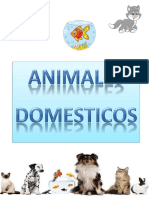 Animales Domesticos