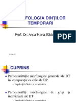 Morfologia, Structura, Implicatii DT