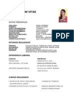 Curriculum Vitae Dayra Pinza(1) (1) (1)