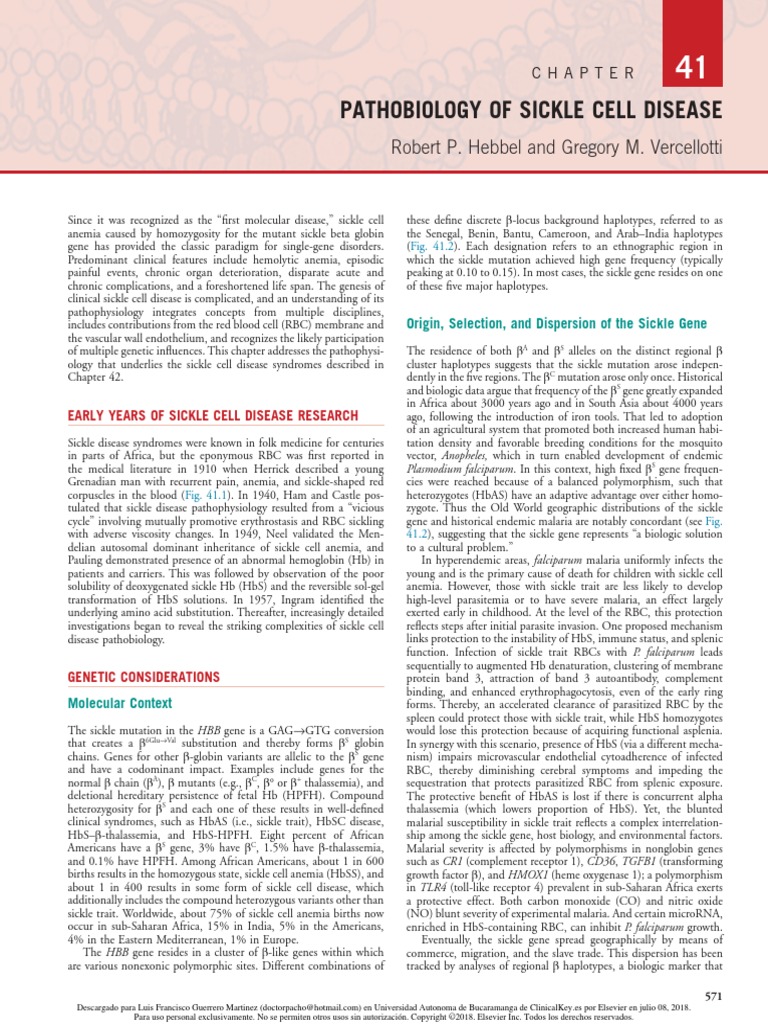 Pathobiology of Sickle Cell Disease 2018 Hematology | PDF | Red Blood ...