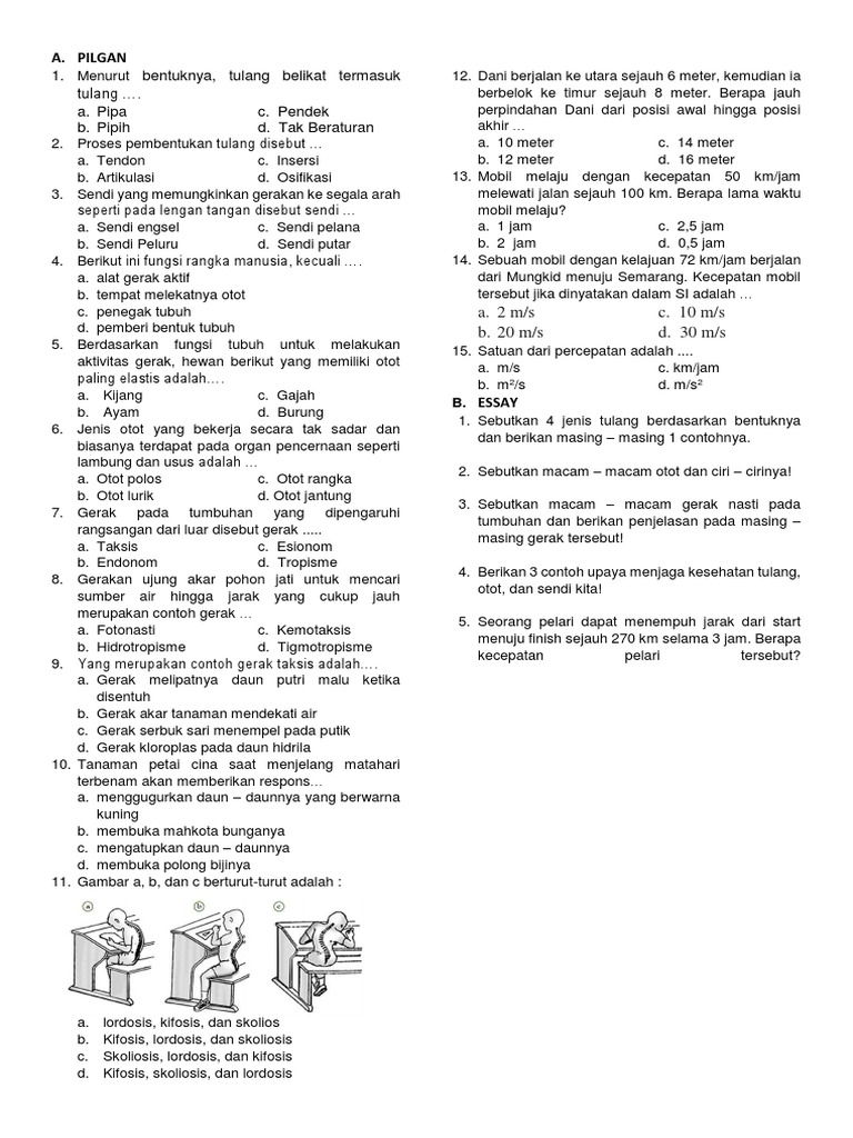 Sebutkan 5 Ciri Ciri Dari Program Ms Word - Sebutkan Mendetail