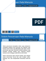 Sistem Pencernaan Pada Manusia