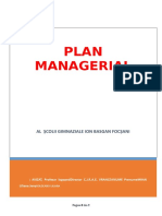 Plan Managerial Logopezi