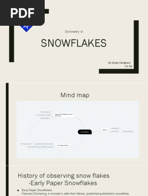 Shide Dehghani_Snow Flakes