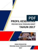 Profil Kesehatan 2017