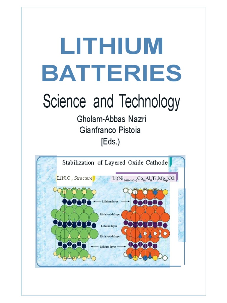 Lithium Batteries Science and Technology PDF Lithium Ion Battery