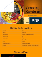 Coaching Xamânico - Módulo 8