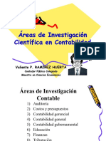 -Areas-de-Investigacion-Cientifica-en-Contabilidad.pdf