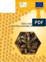 Uzgoj I Selekcija Matica Sive Pčele PDF