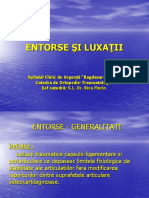 Entorse Si Luxatii