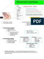 Resumen. Traumatismo Abdominal