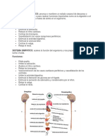 Tarea Sistema Parasimpatico y Simpatico