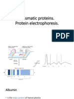 Plasmatic proteins and electrophoresis